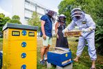 3 Imker stehen im Garten mit Bienen